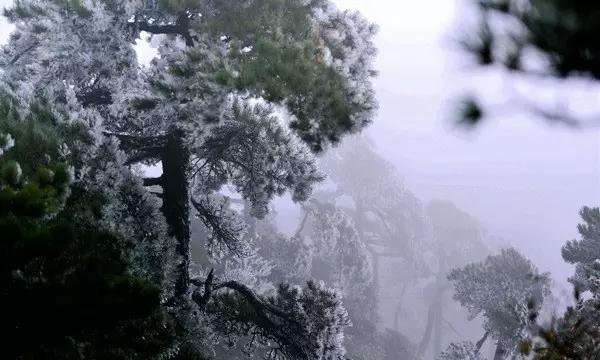作为职场新人应该如何与同事相处呢?,解锁你的疑问密码