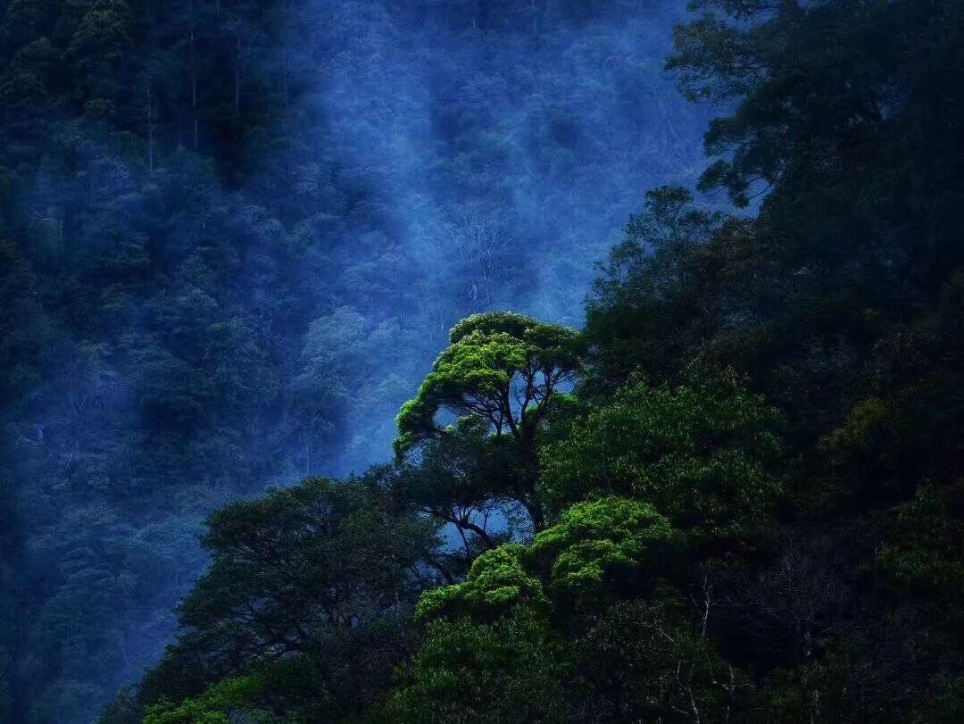 如是心,来自大自然的馈赠,纯净与美好