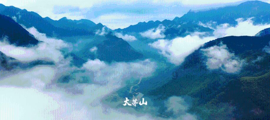 夏日的婚礼