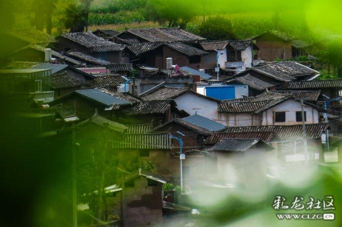 天上掉下个小猪猪