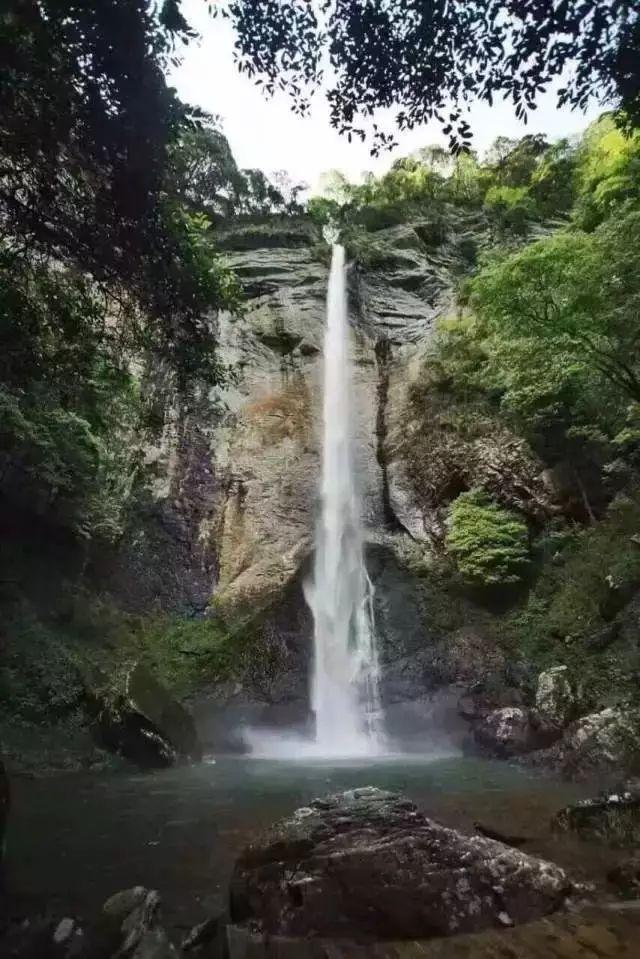 抽烟的人如何清肺？游戏画面